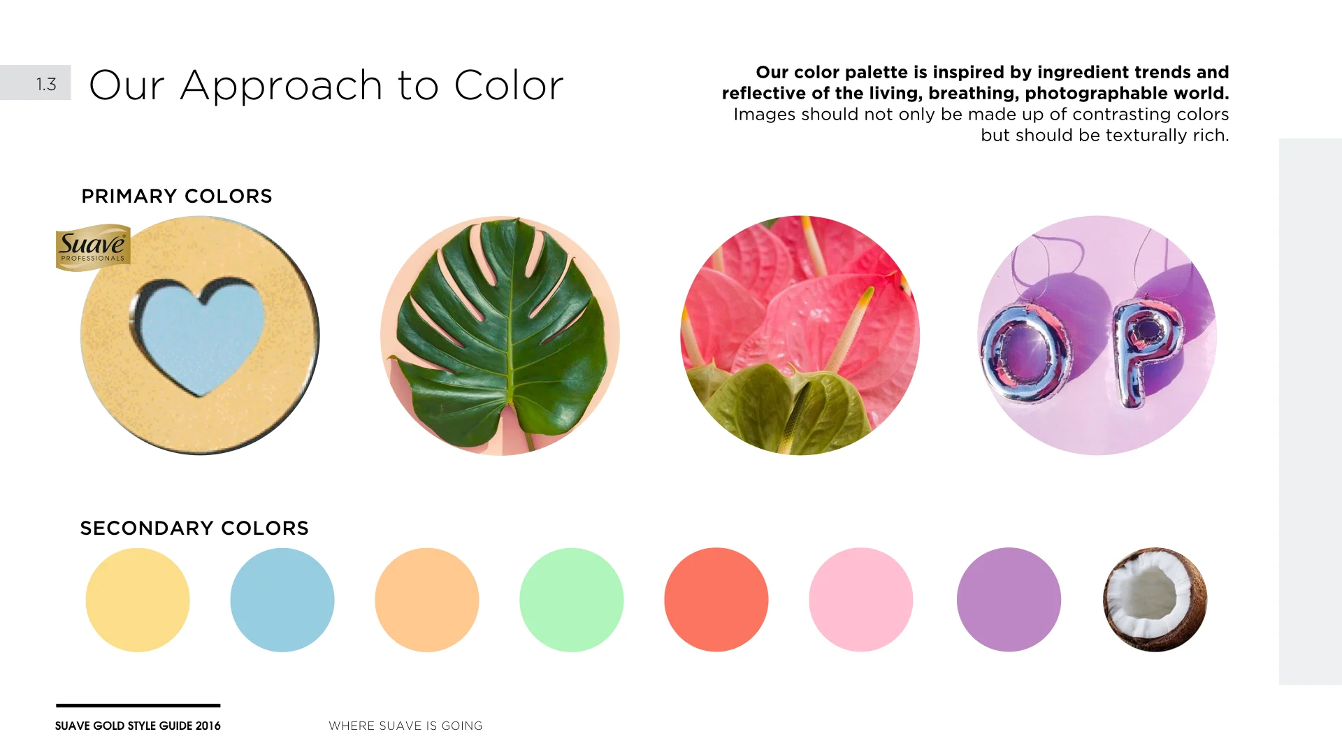 Suave Gold Style Guide[10.15.16].016.jpeg