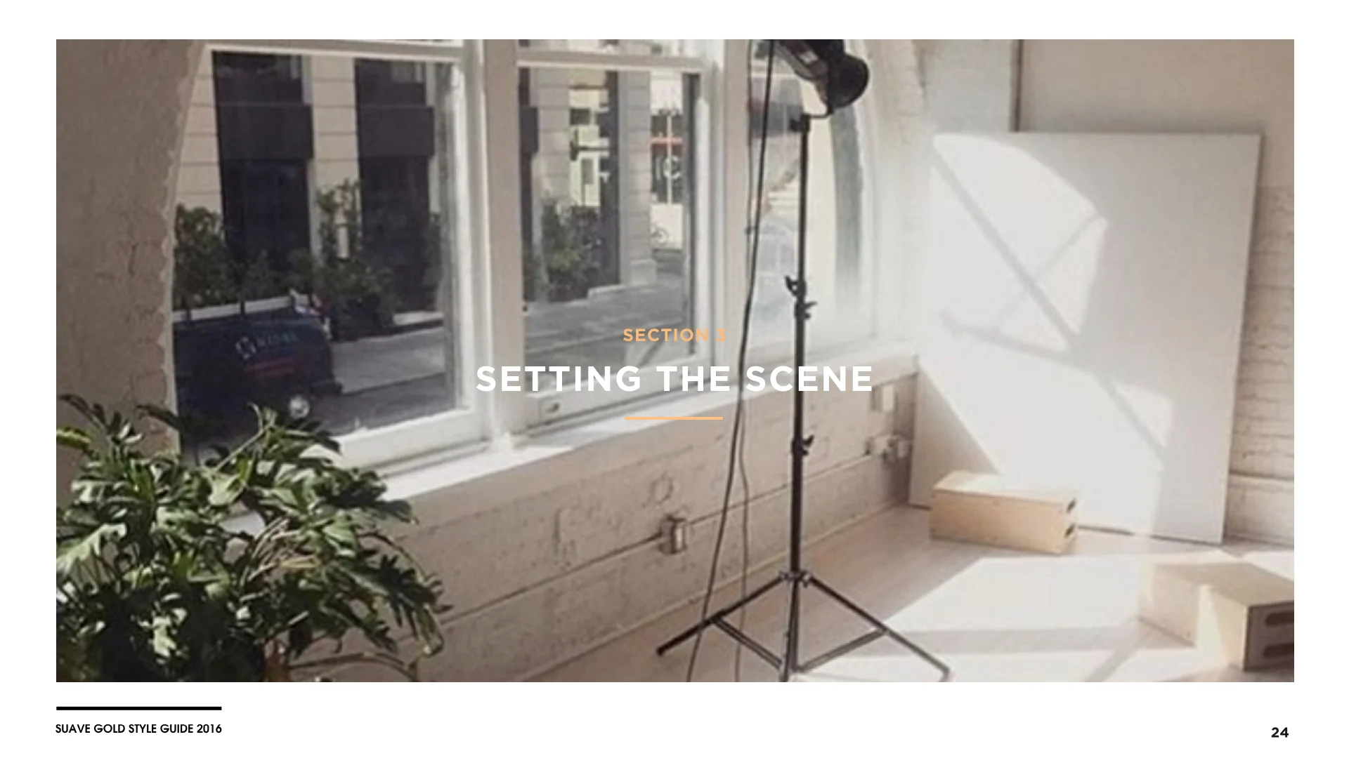 Suave Gold Style Guide[10.15.16].024.jpeg