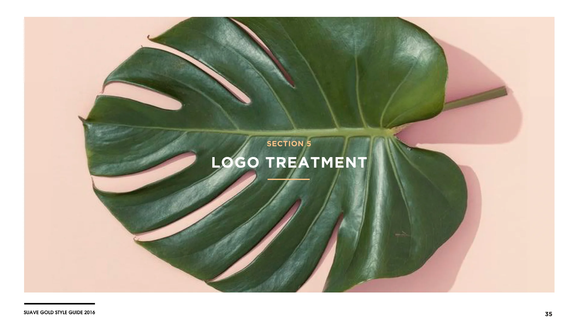 Suave Gold Style Guide[10.15.16].035.jpeg