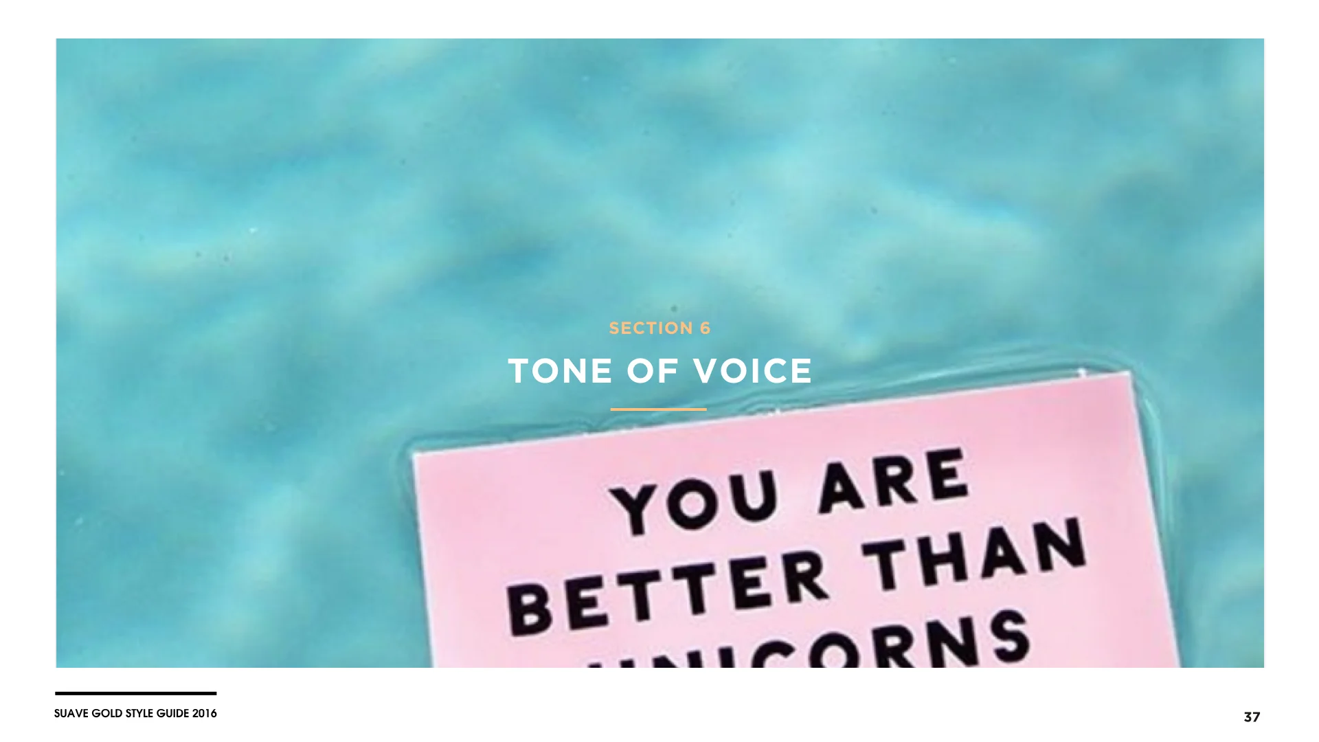 Suave Gold Style Guide[10.15.16].037.jpeg