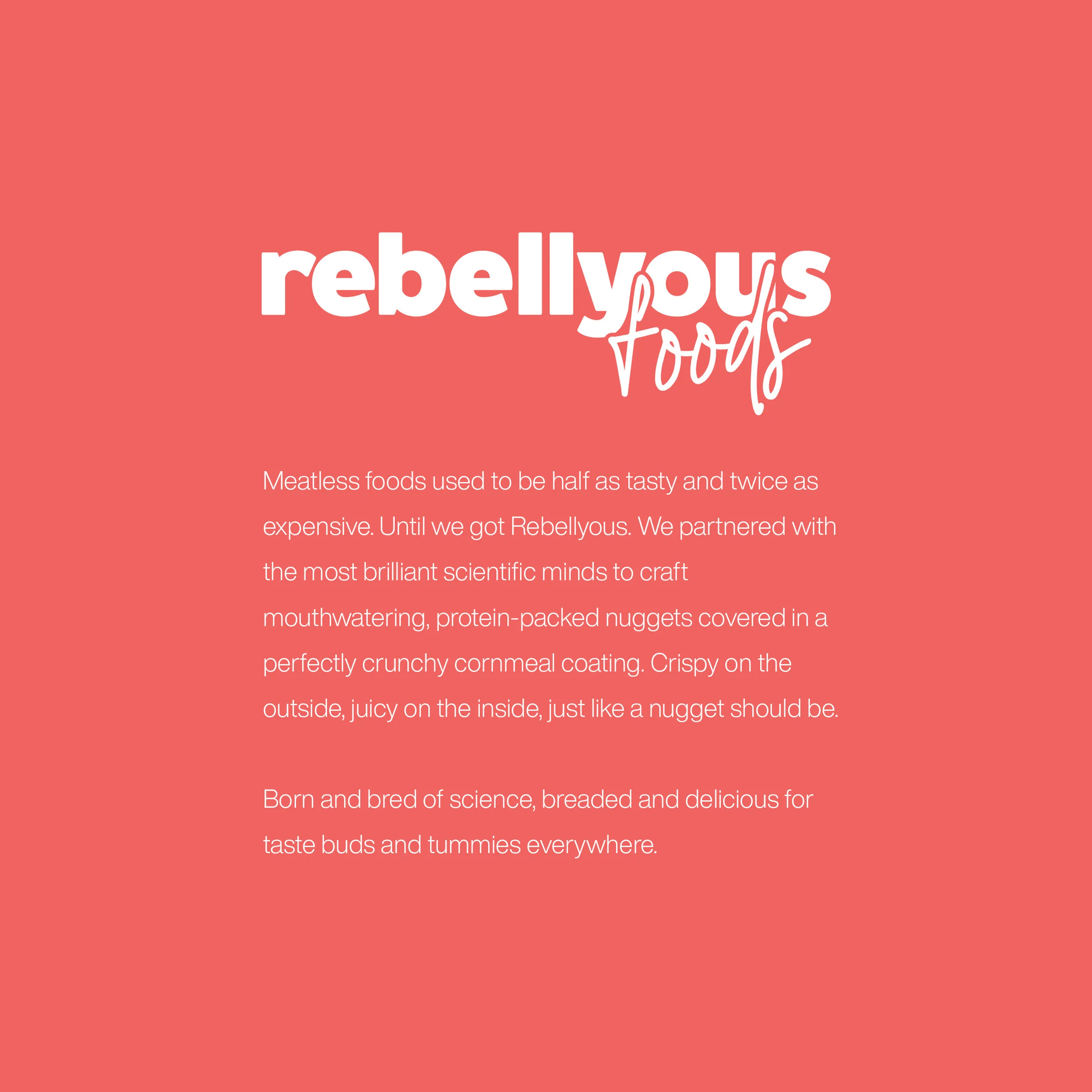 rebellyous_foods_styleguide_twosheeter_Intro.jpg