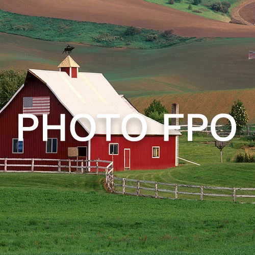 3 Maples Farm