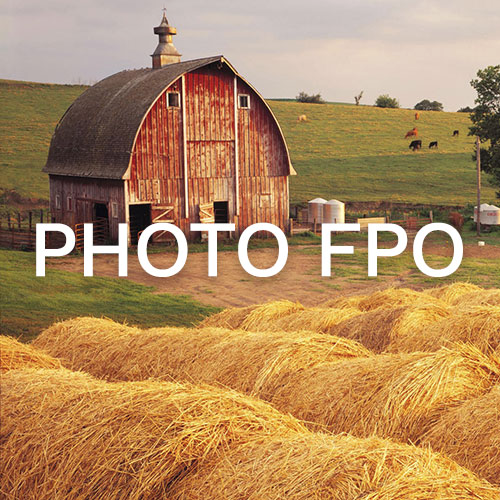 The Farm - Triple Threat Mentoring