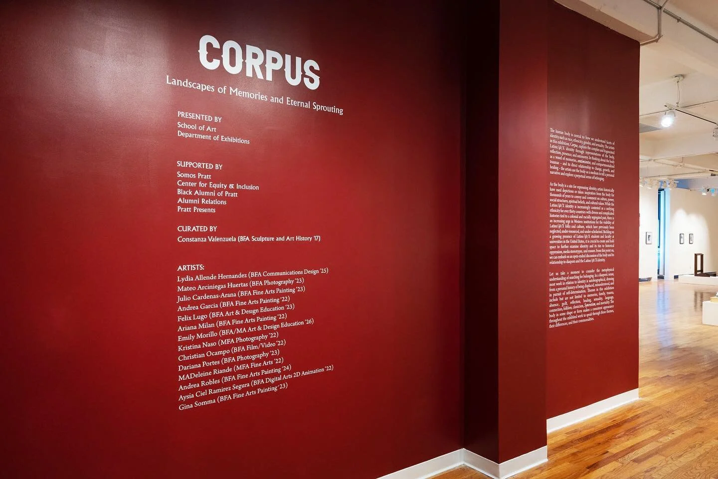SoART Pratt — Split Graphics | Custom Sleek Graphic Design - Brooklyn, NY