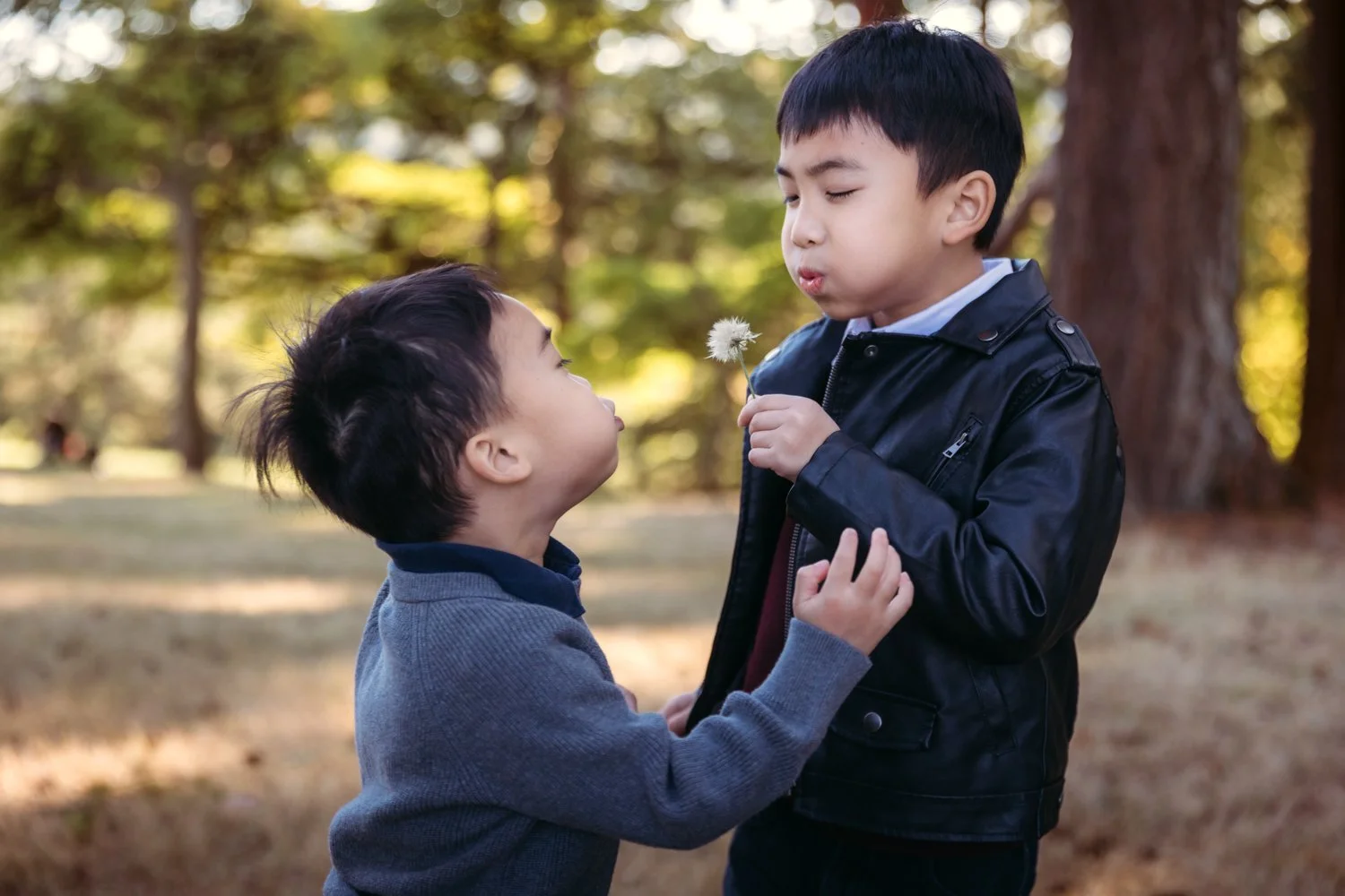 best family photographer portland oregon-2.jpg