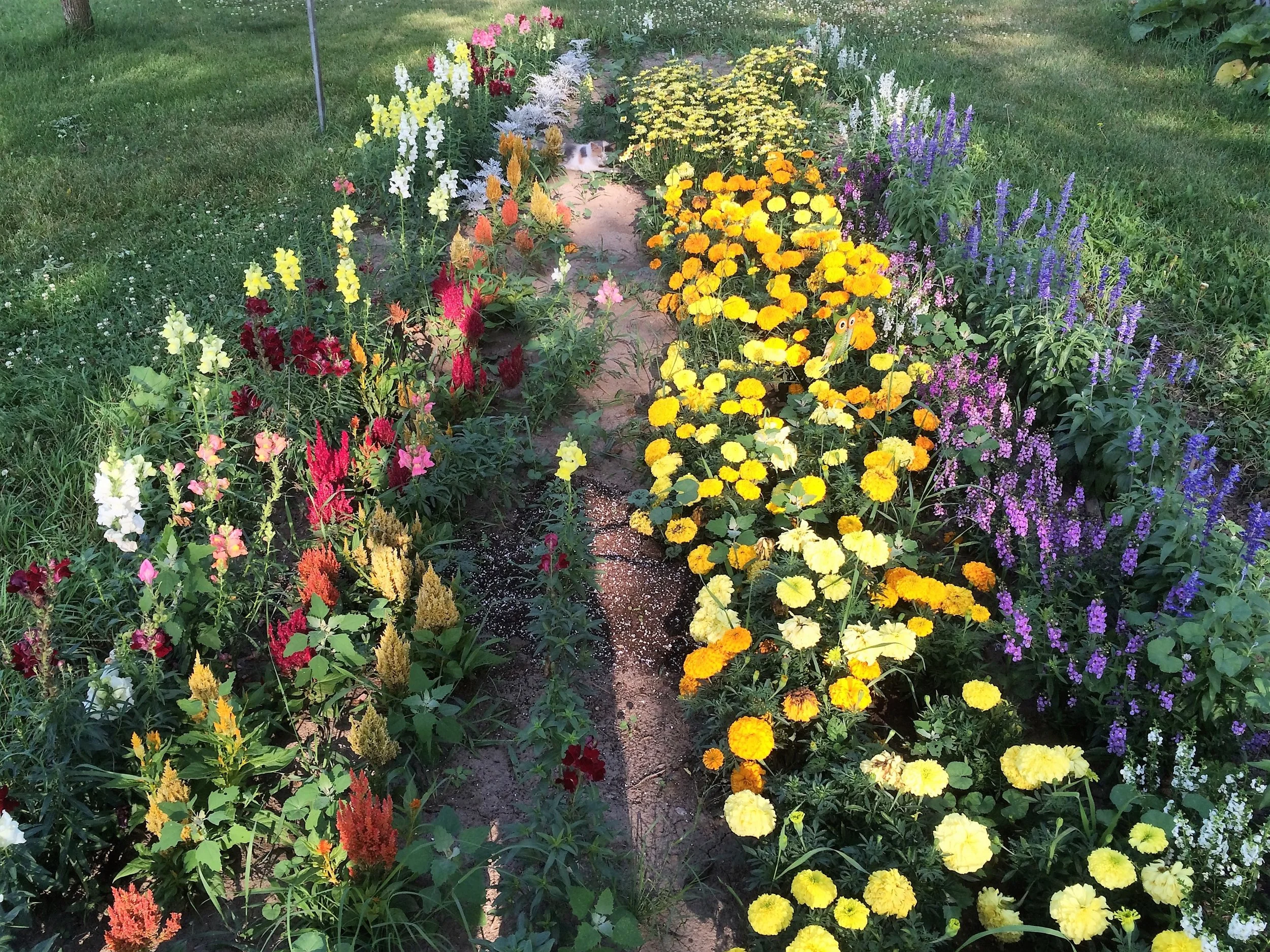 Recipients — Blooming Prairie Foundation