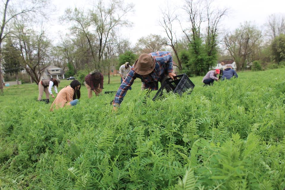 Recipients — Blooming Prairie Foundation