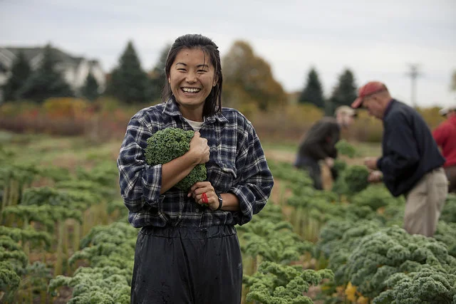 Intern harvesting.jpg