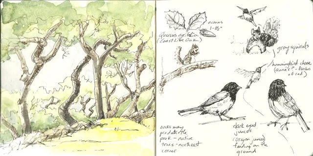 Golden Gate Park, Nature Journal