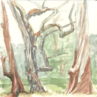Golden Gate Park, Panhandle