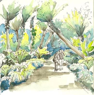 Golden Gate Park, Tree Fern Dell