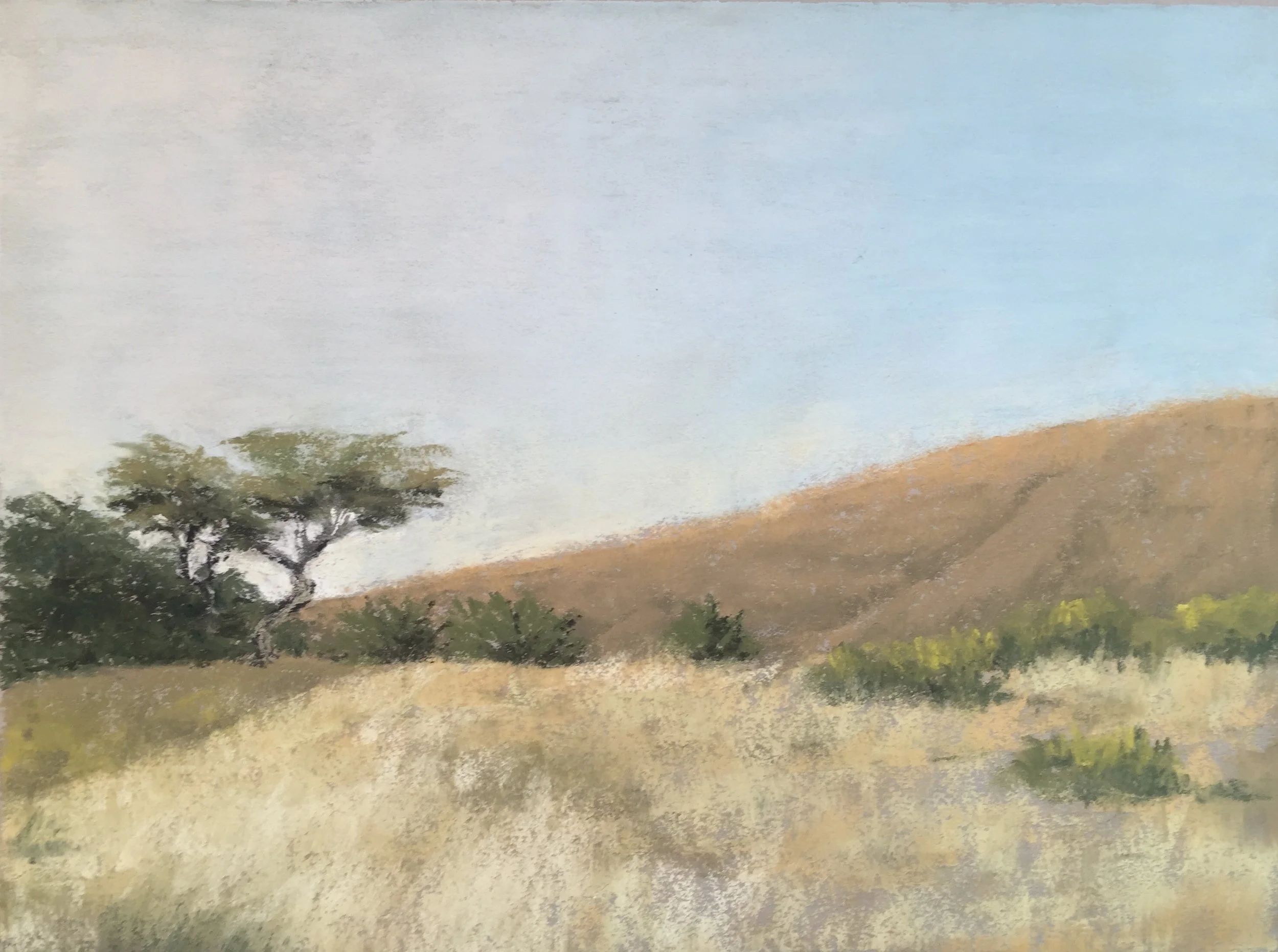 Pt.Reyes Hillsides