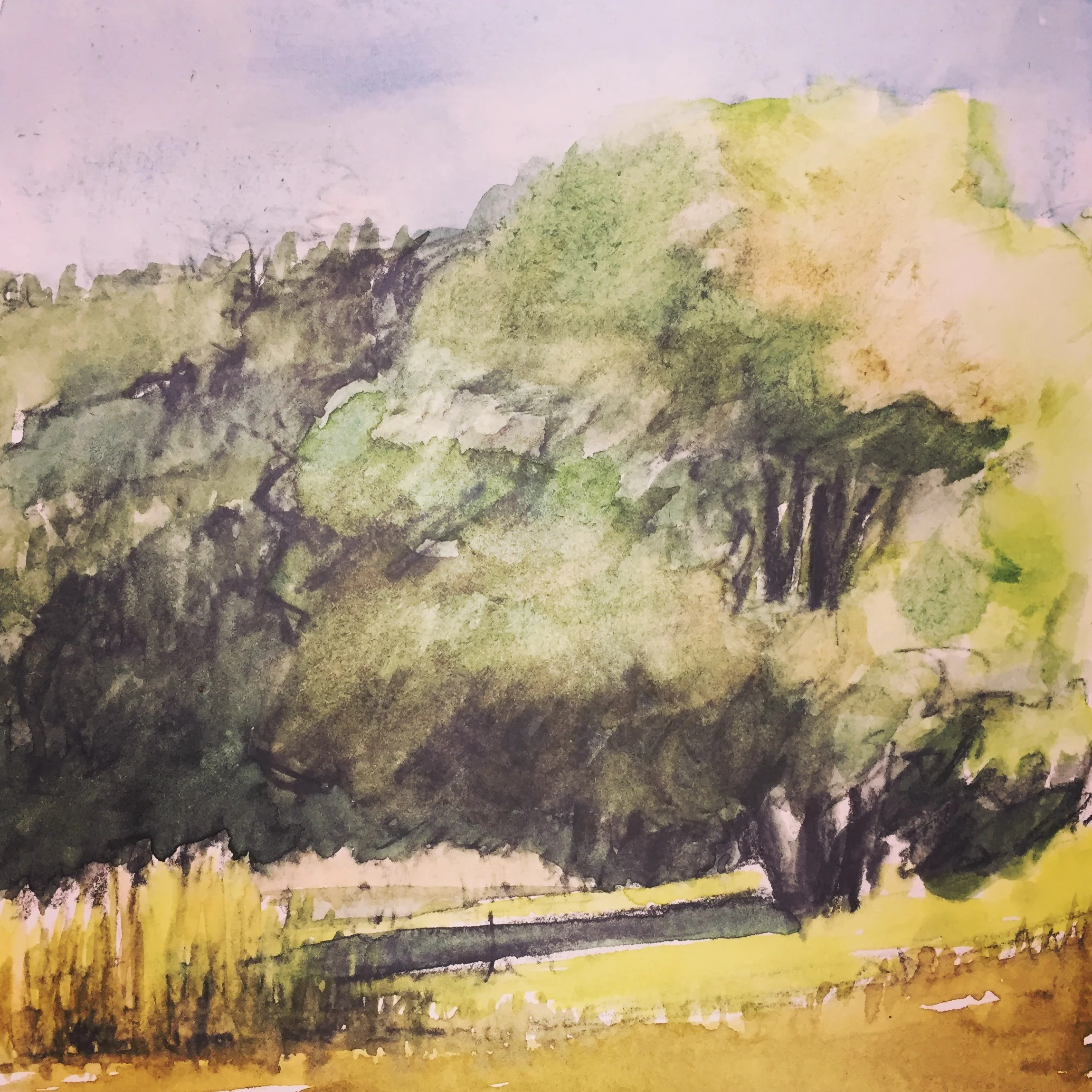 Bear Valley, Point Reyes