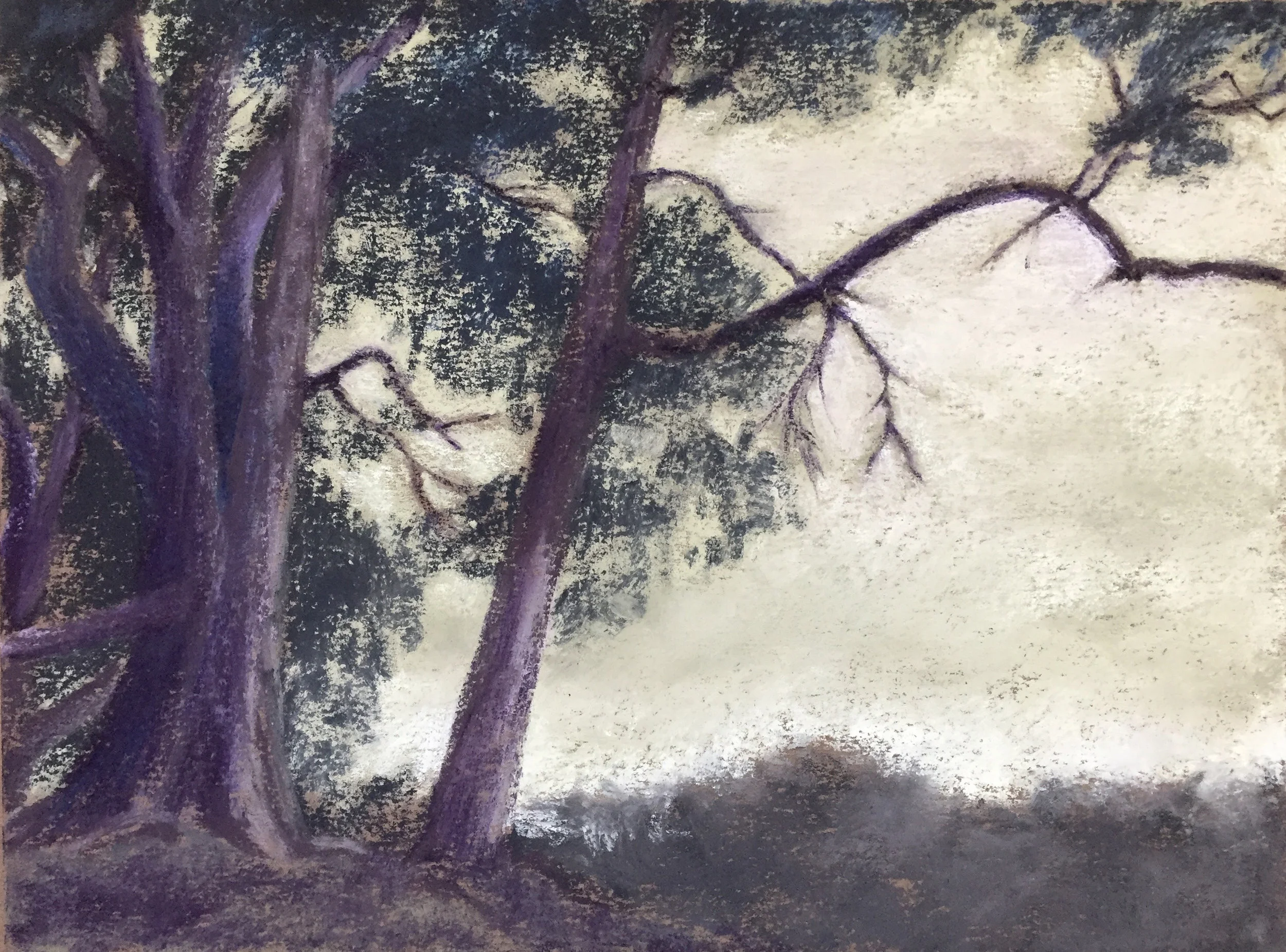 Eucalyptus on a Cloudy Day (SOLD)