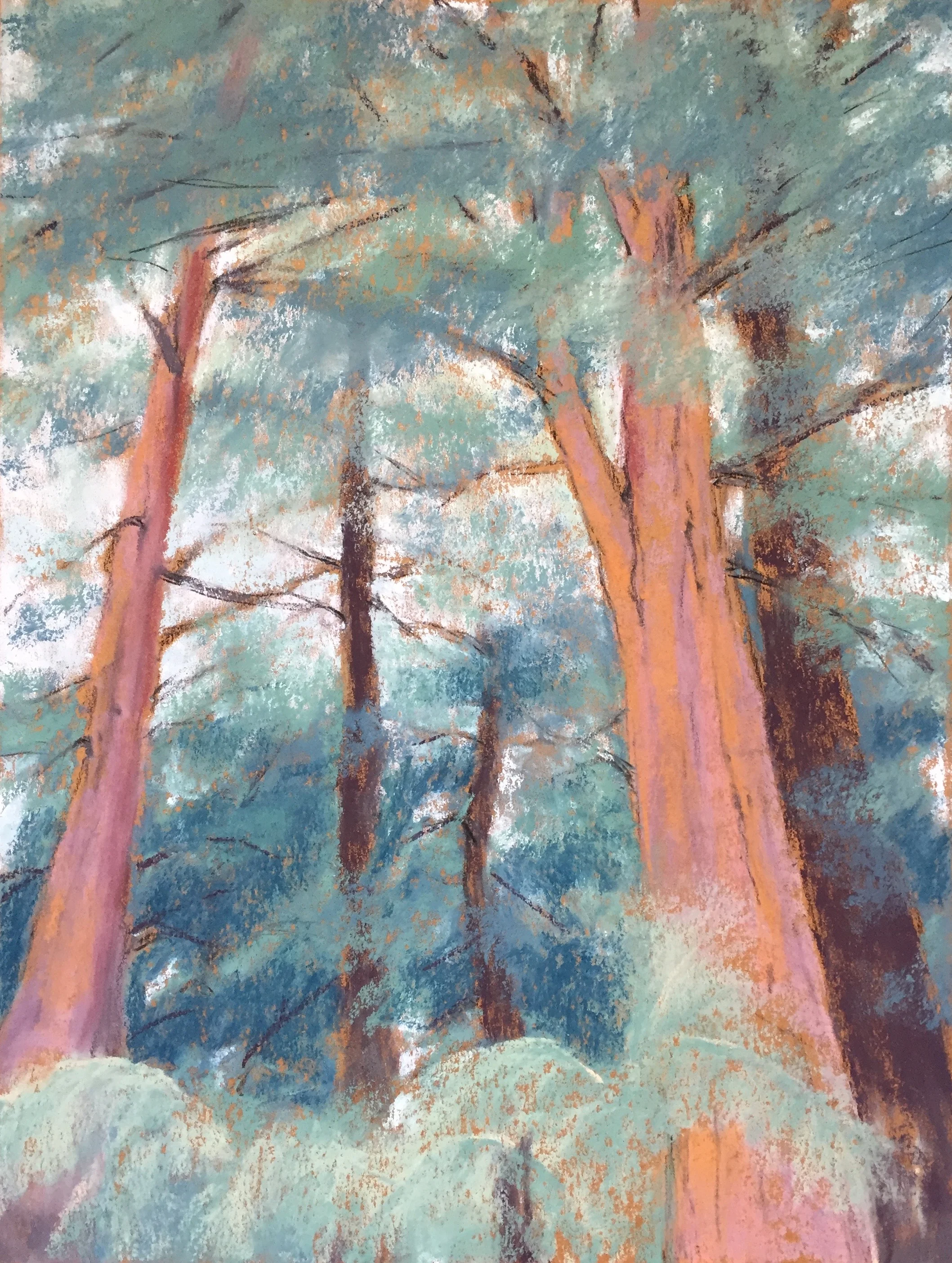 Giants (Redwood Grove, SFBG)