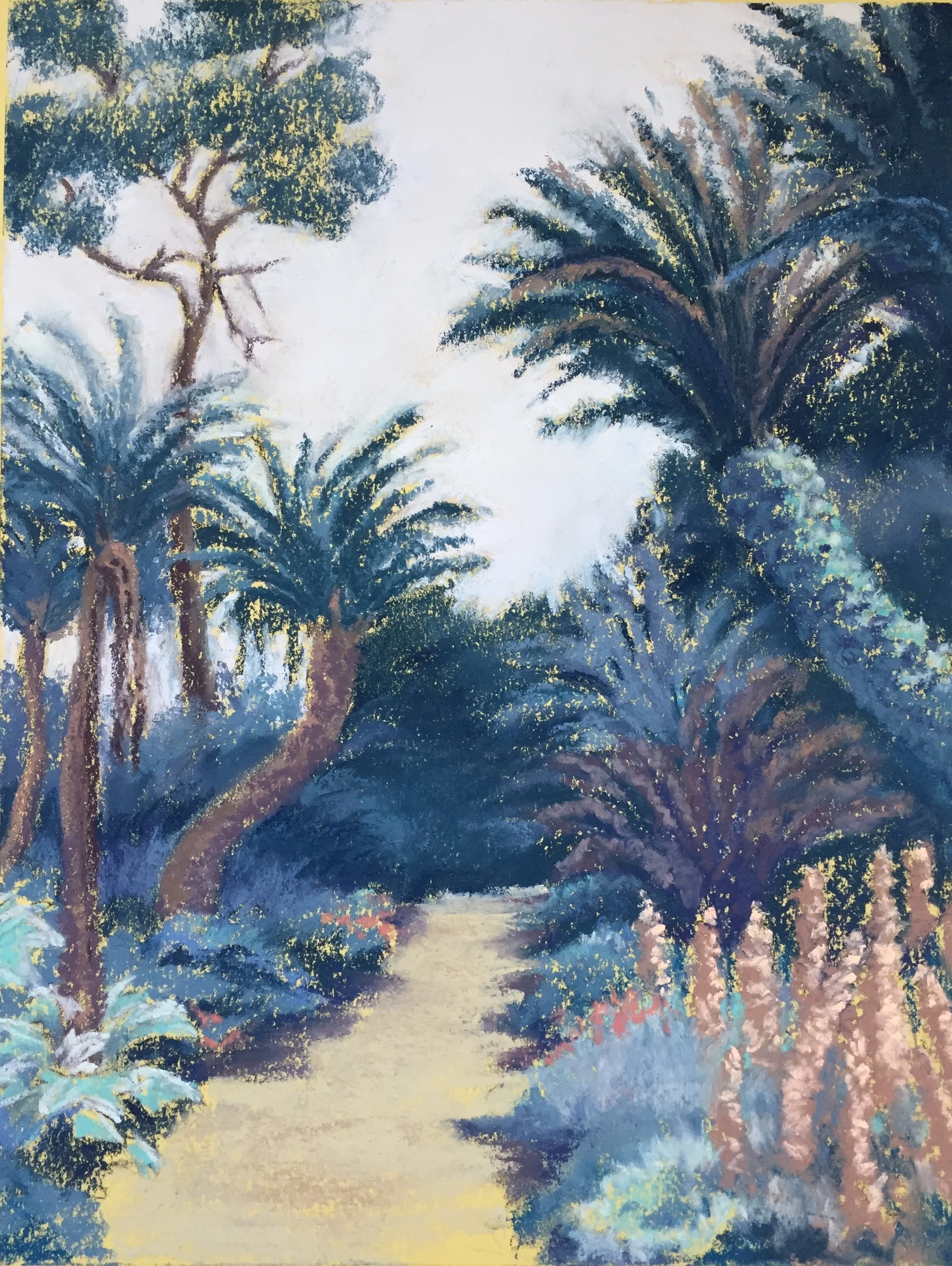 Tree Fern Dell (NFS)