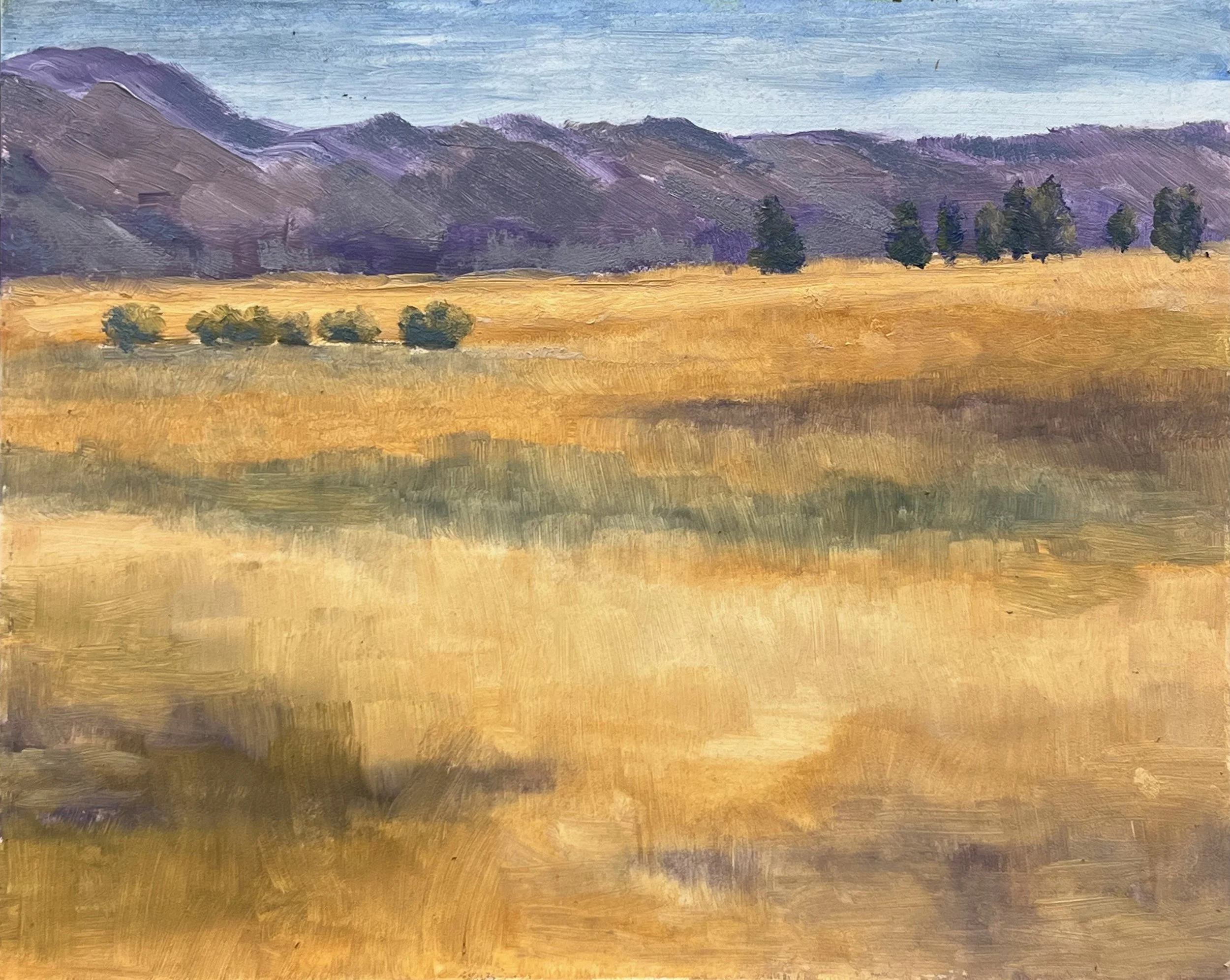 Sierra Valley