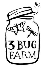 3-bug-logo-black_orig.jpg