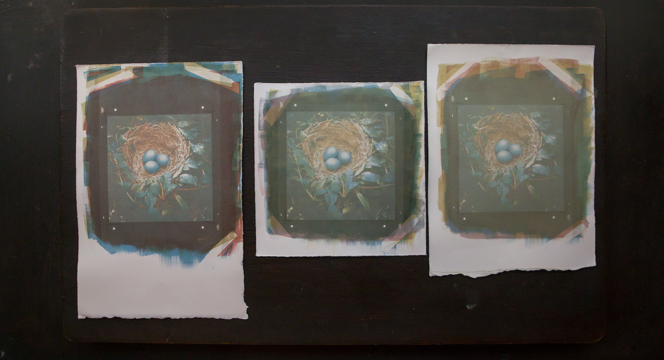  These gum bichromate prints are printed from the same negatives.... The differences arise from the amount of pigment used in relation to the gum arabic + potassium dichromate mixture.&nbsp;  These prints are all approx. 4x4"&nbsp;  Each individual p