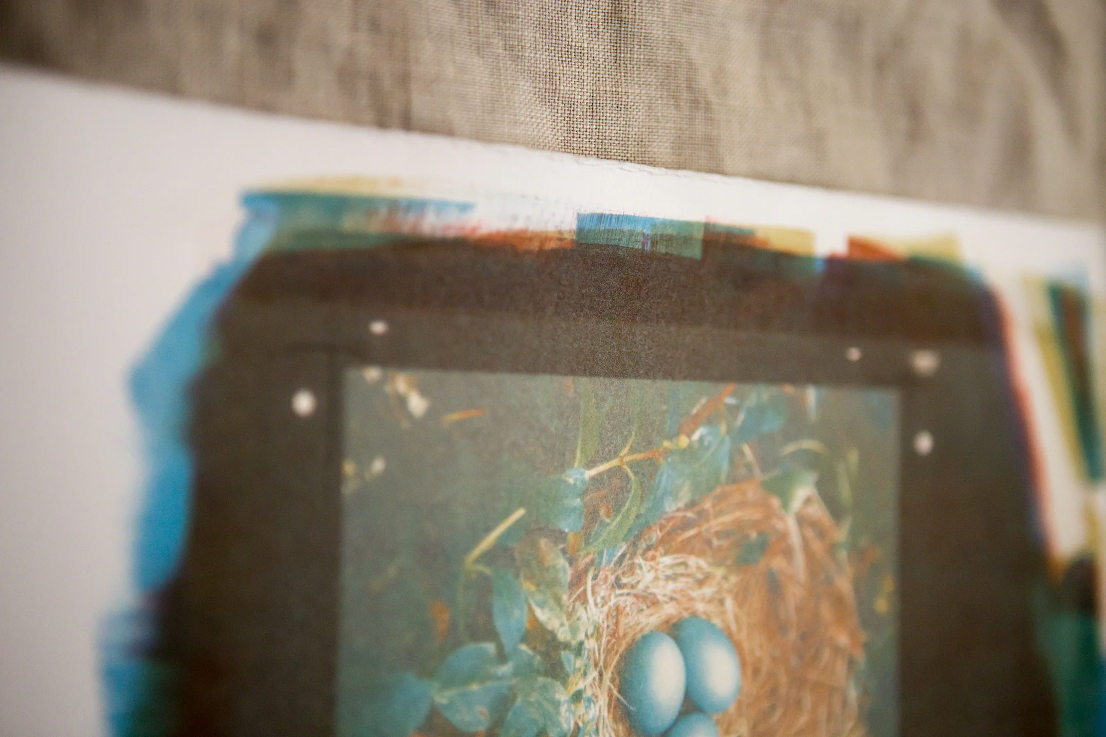 The Gum Bichromate Printing Process — Jane A. Wiley