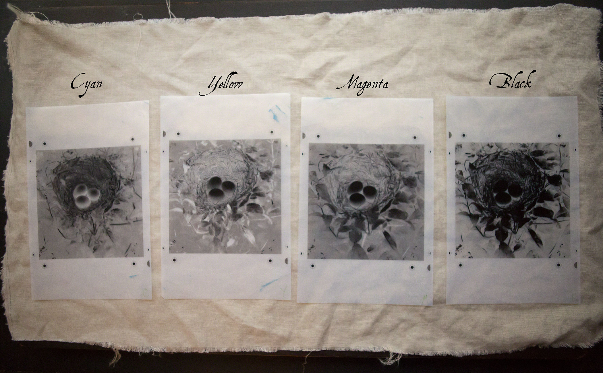 Separation negatives: Cyan, Yellow, Magenta and Black  Each one is slightly different to allow varying degrees of pigment to be exposed for the image 