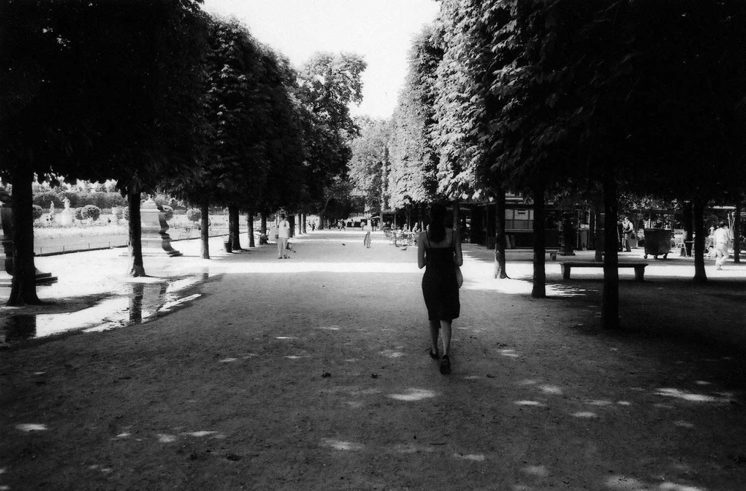 Paris: A Stroll Through the Tuileries