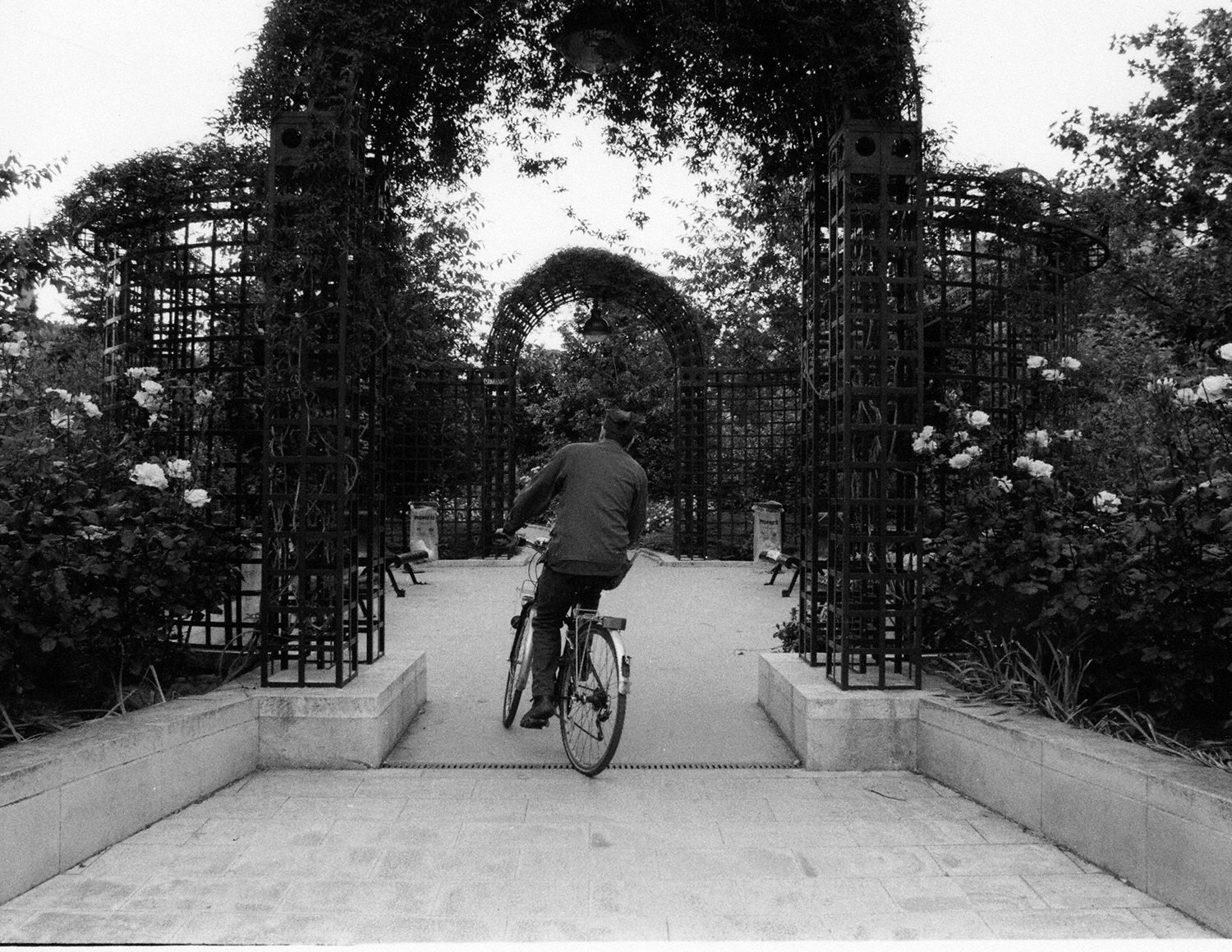 Paris: Through the Arch