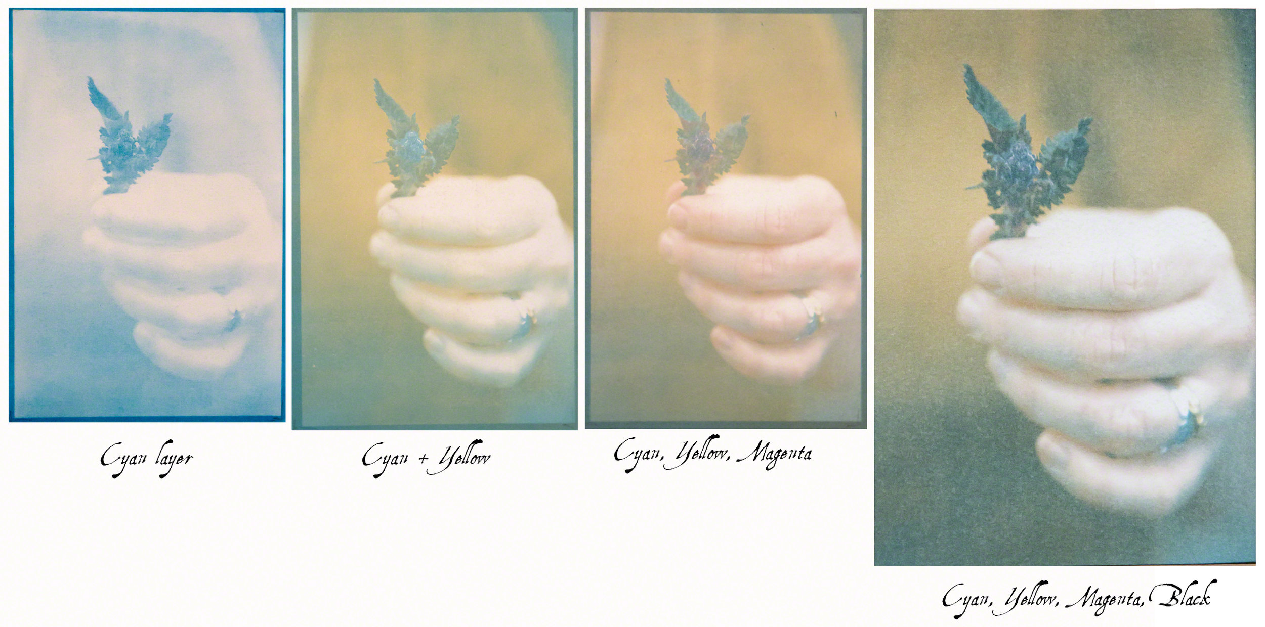 The progression of each layer of color... Each successive color is exposed on top of the previous one.
