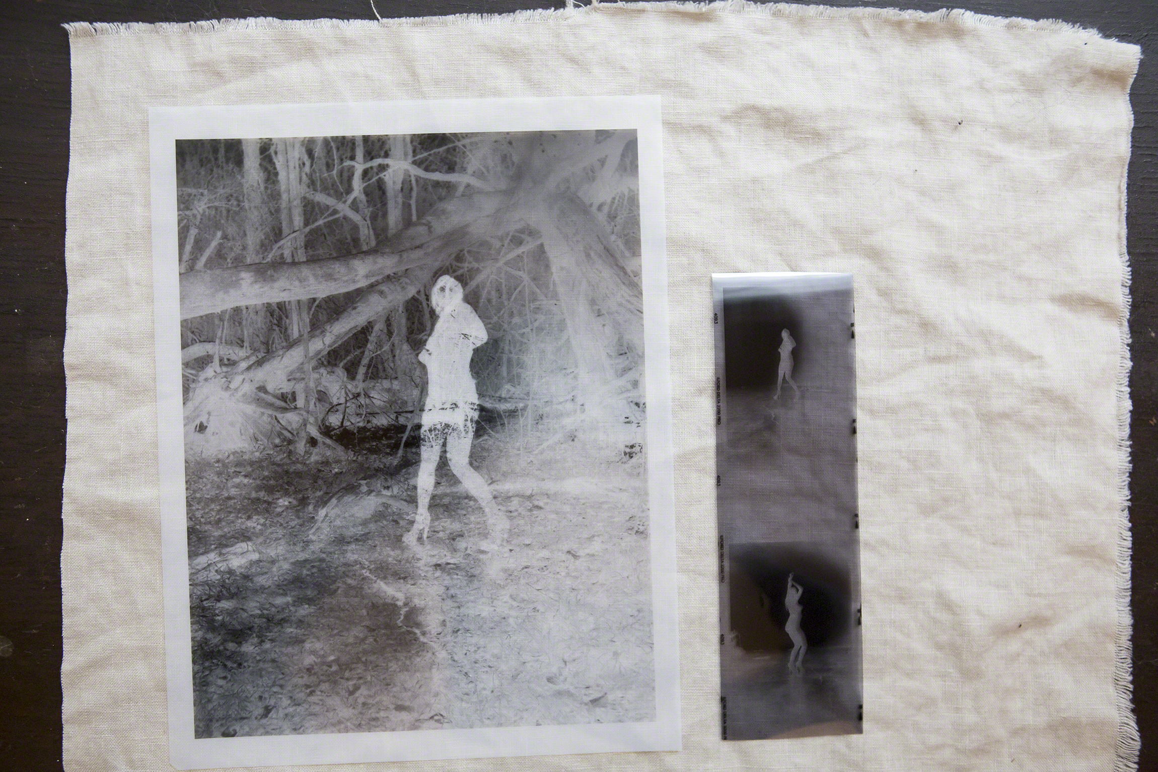 On the right is the 8x10 negative printed onto Pictorico OHP film... This allows for an 8x10 contact print instead of the smaller original negative on the right.