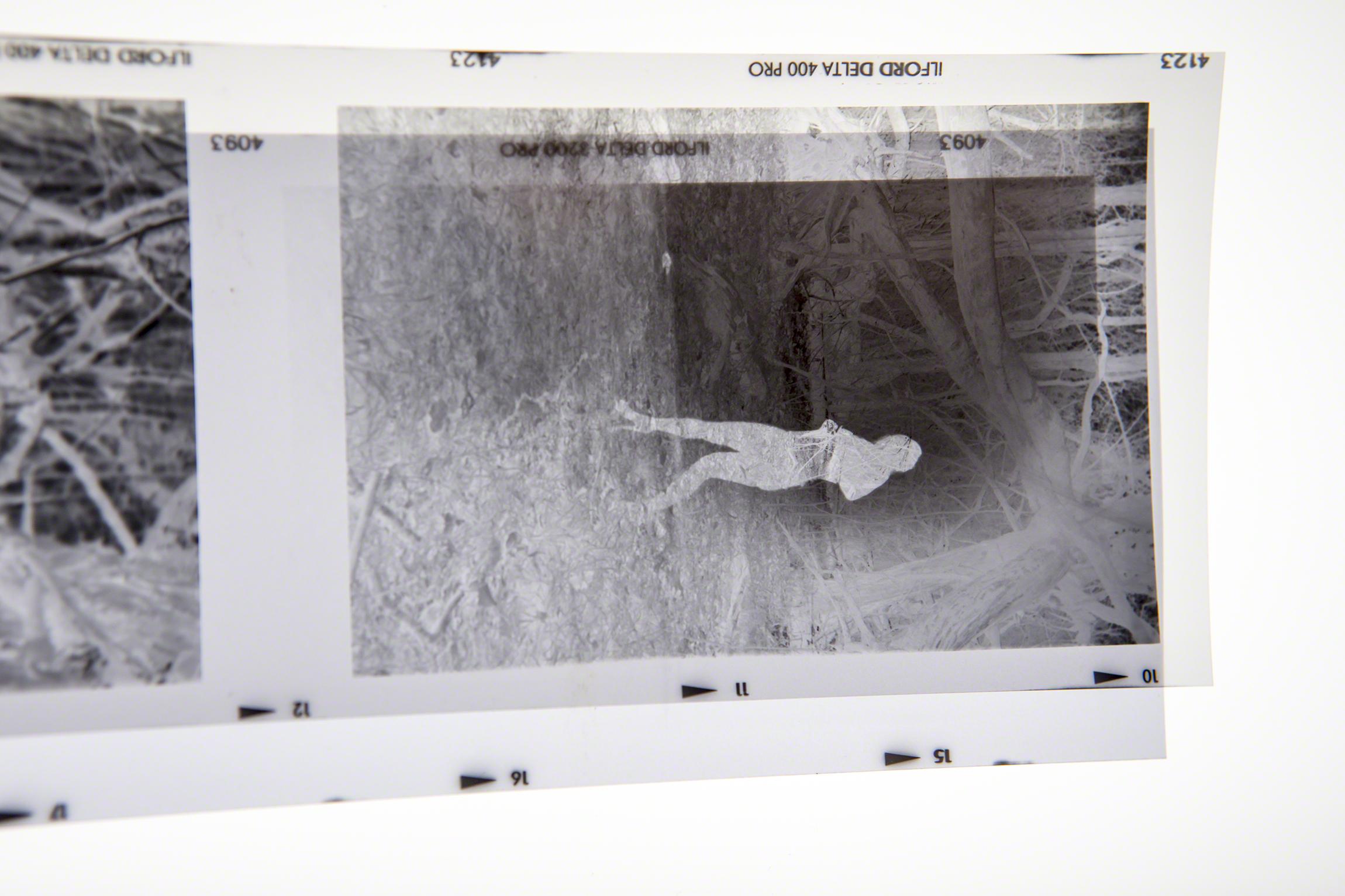  A quick look at the negatives on the lightbox to see if they will work together for a print 