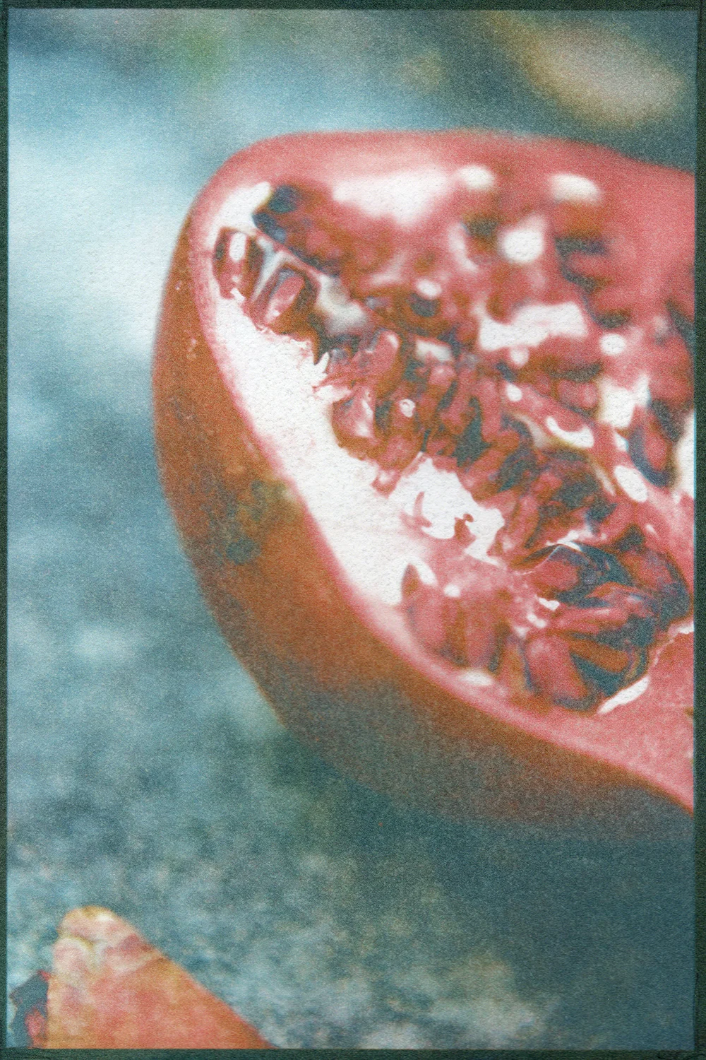 Pomegranate