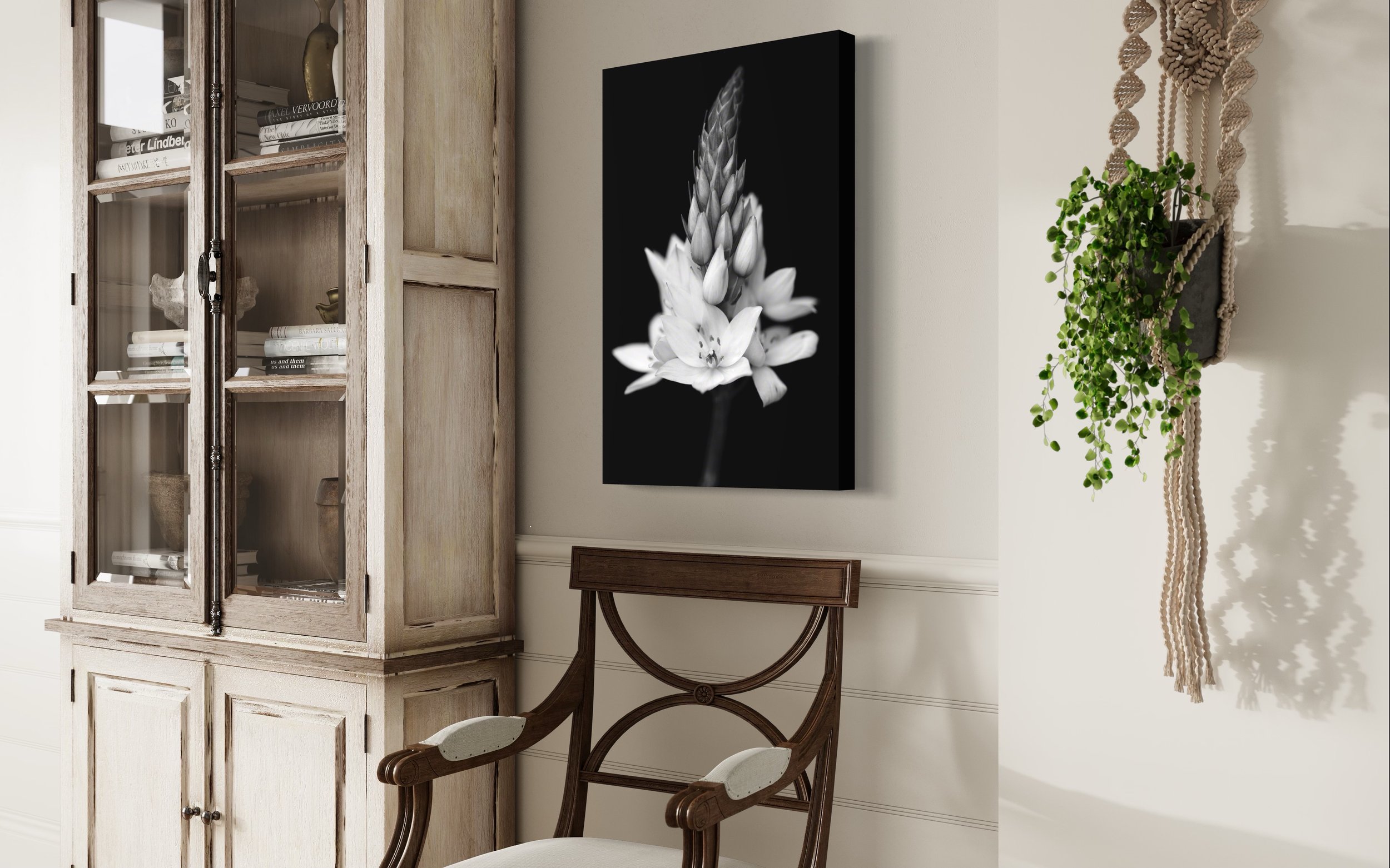  Star of Bethlehem, from the black &amp; white photographic series Portraits From a Moonlight Garden, shown in room 