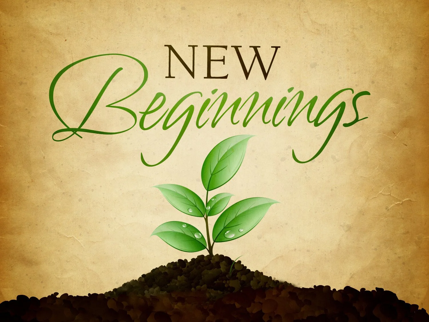 February 2024 - New Beginning & Revival