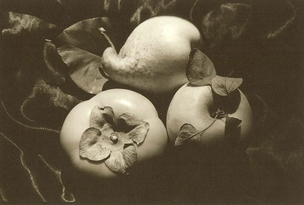 Winter Fruits