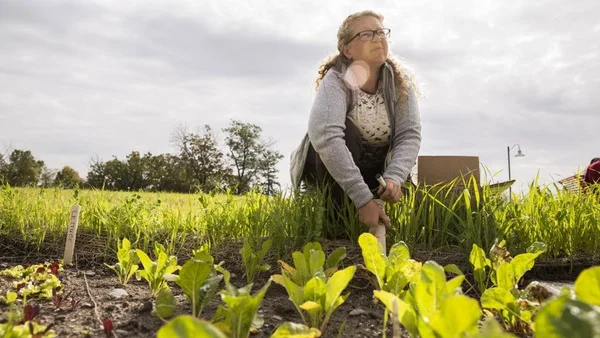 Frogtown Park and Farm give a St. Paul neighborhood much-needed green space
