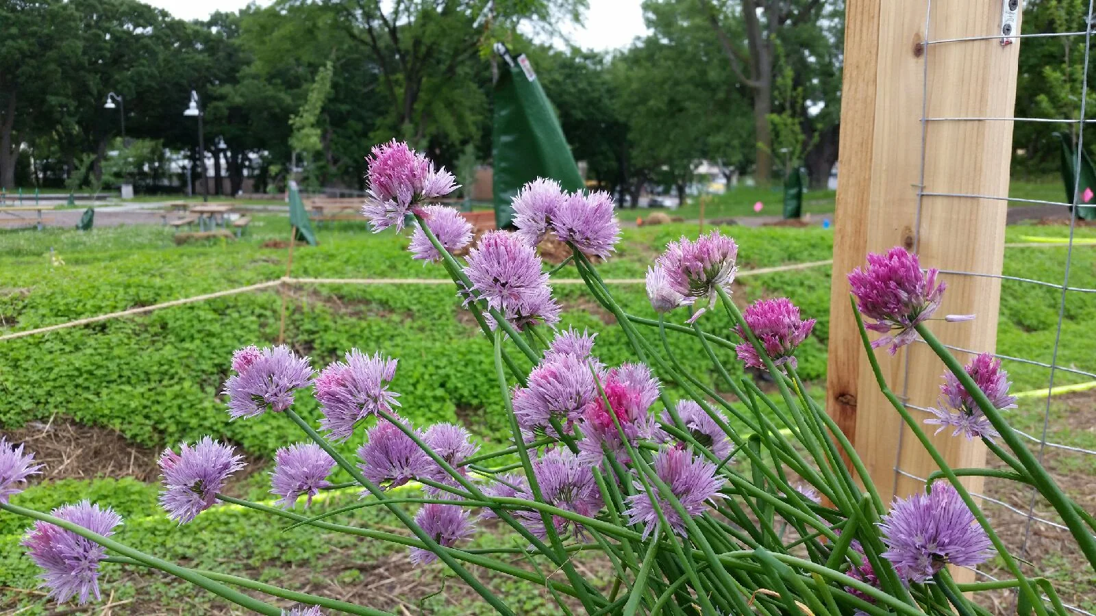 Parks for all seasons