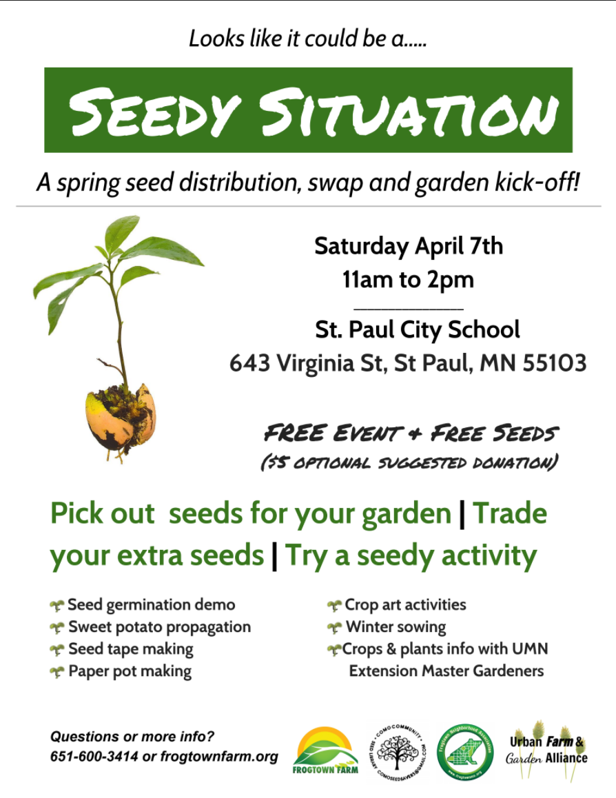 seedy situation flyer.png