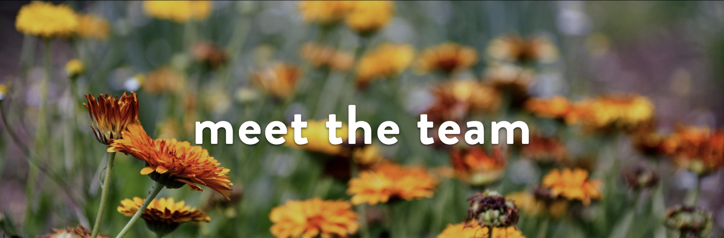 Screen Shot 2018-10-02 at 5.00.35 PM.png