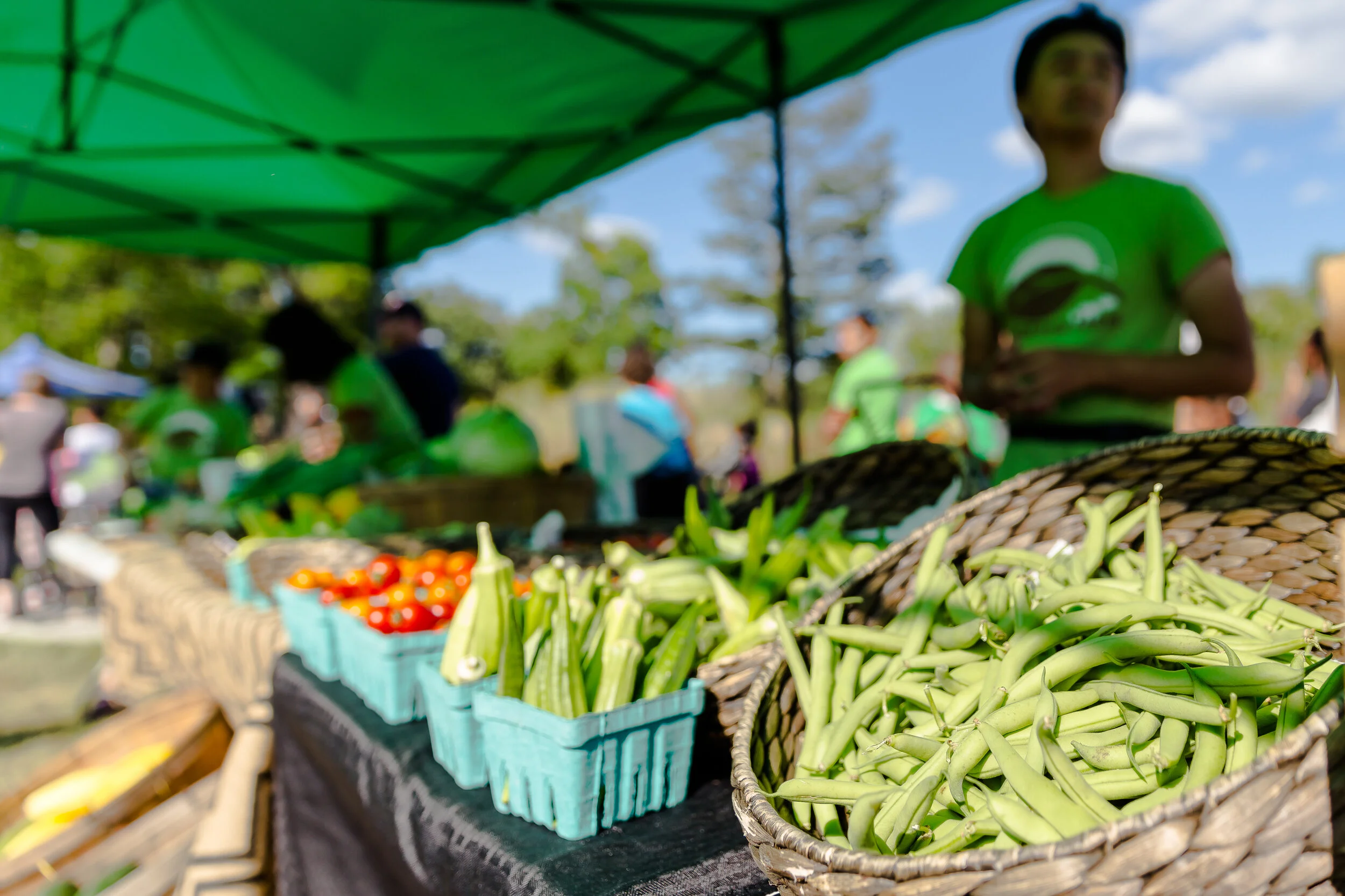 20190808-IMG_7572 (4) (1).jpg