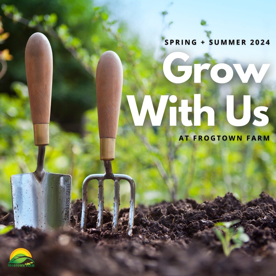 🌿 Dive into the heart of Frogtown Farms! 🐸✨ Whether you're eager to lend a helping hand, contribute to our mission through donations, or simply curious to explore, there's something here for everyone. 🌱💚

Join us as a volunteer, where your time a