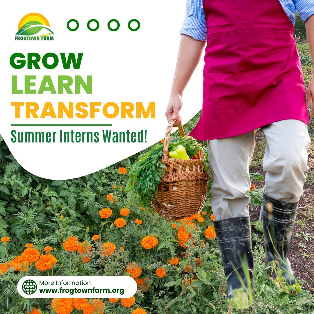 🌞 Exciting Opportunity Alert! 🌿 Passionate about sustainable agriculture and community empowerment? Join us for an unforgettable summer internship experience at Frogtown Farms! 🌱💼

This unpaid internship offers a unique chance to dive deep into t
