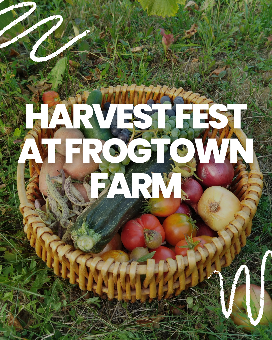 Harvest Fest at Frogtown Farm