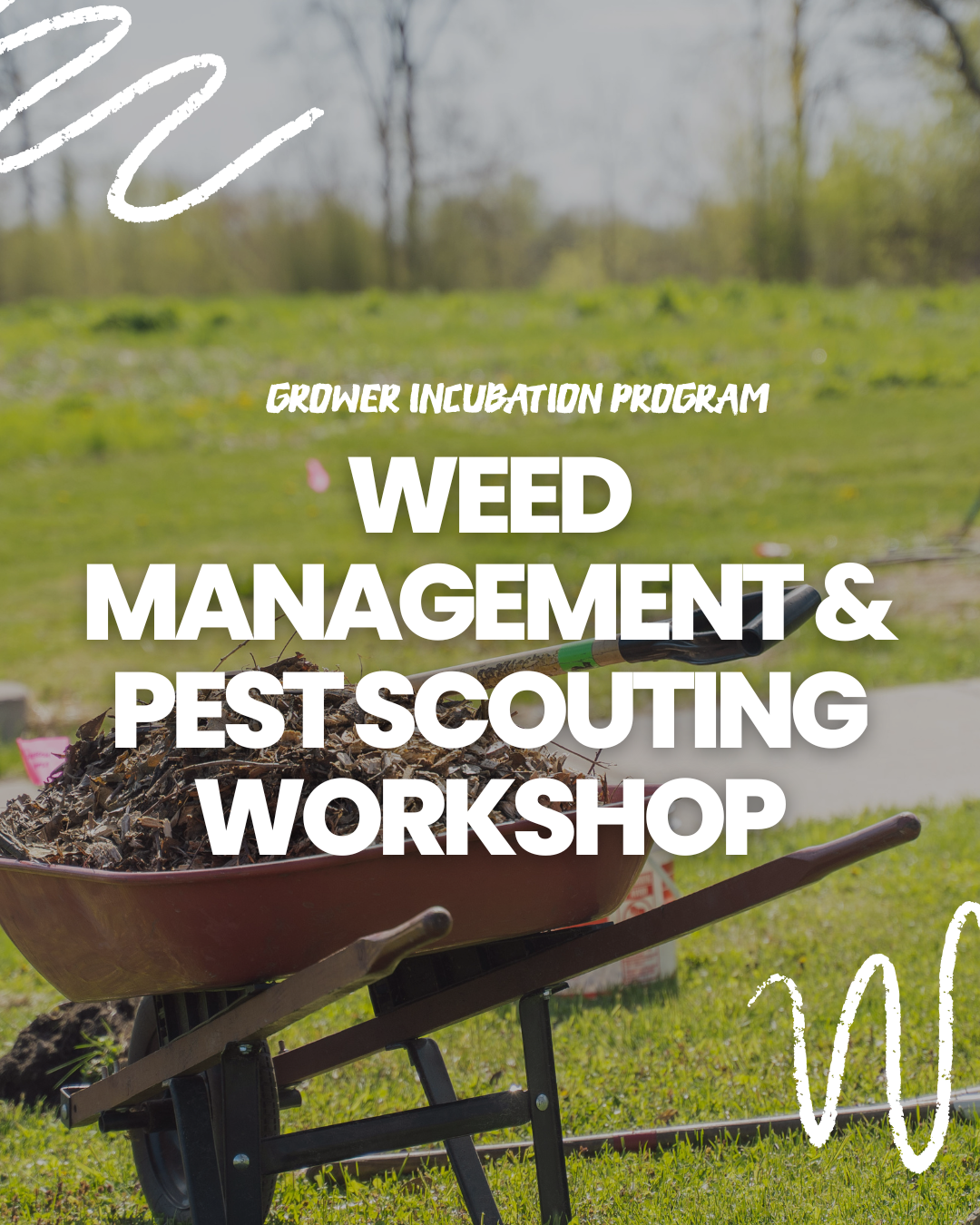 Weed Management &amp; Pest Scouting