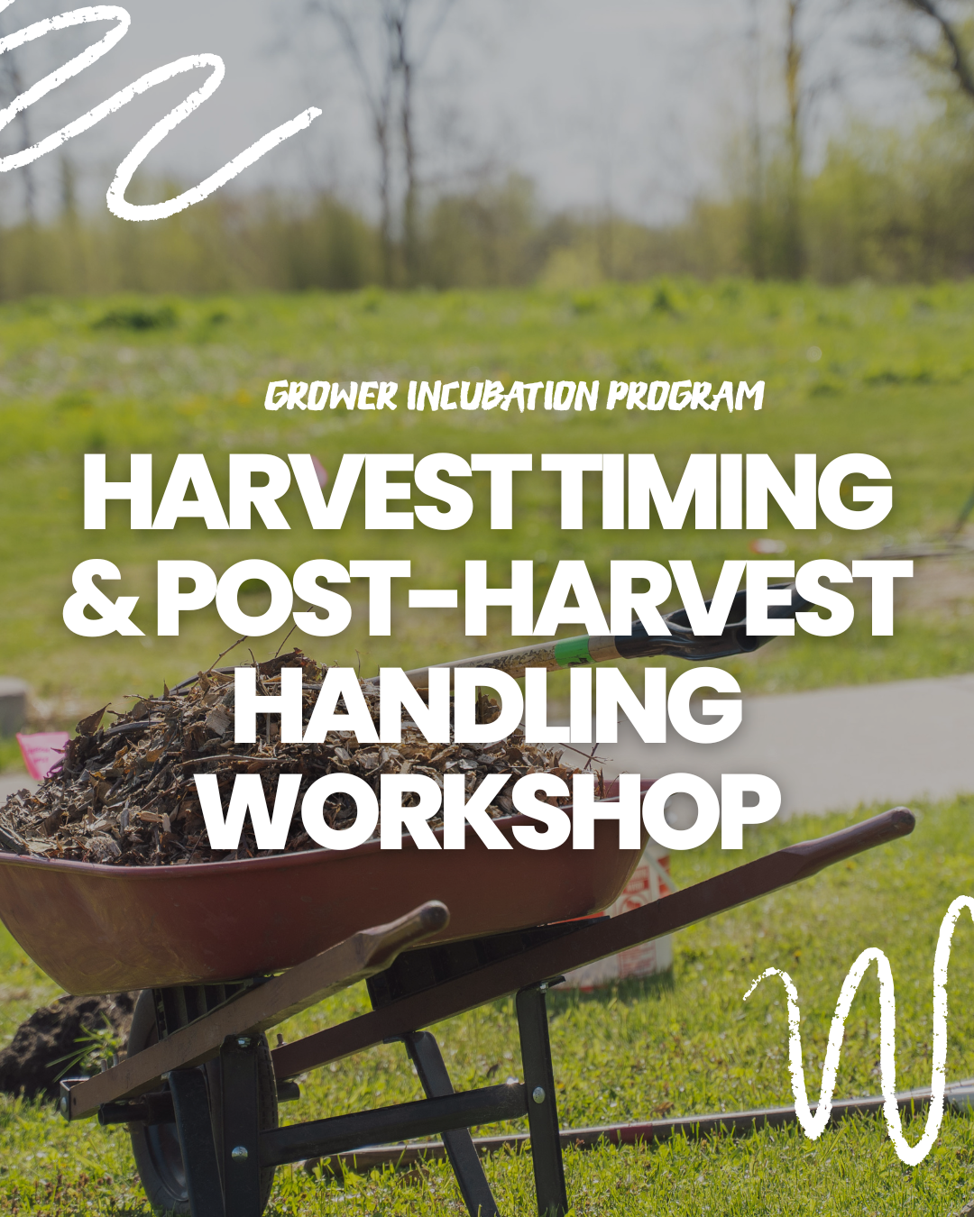Harvest Timing &amp; Post-Harvest Handling