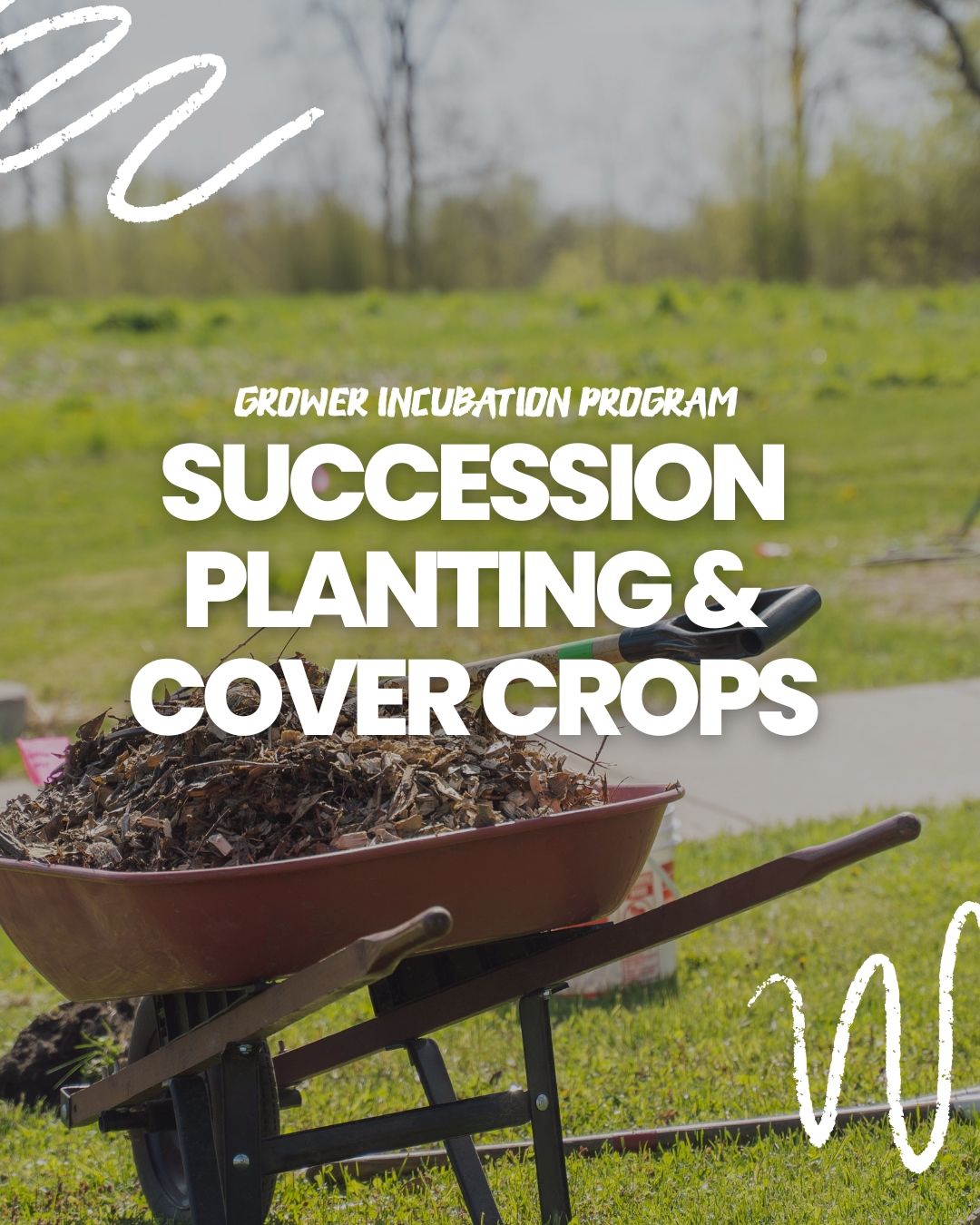 Succession Planting &amp; Cover Crops