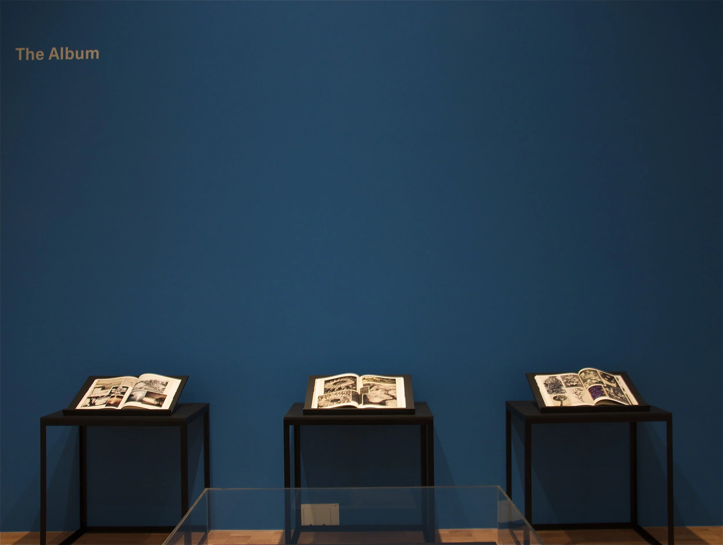 Installation Shot, 'Hannah Höch', Whitechapel Gallery, 2014. Photographer: Daniel F. Herrmann