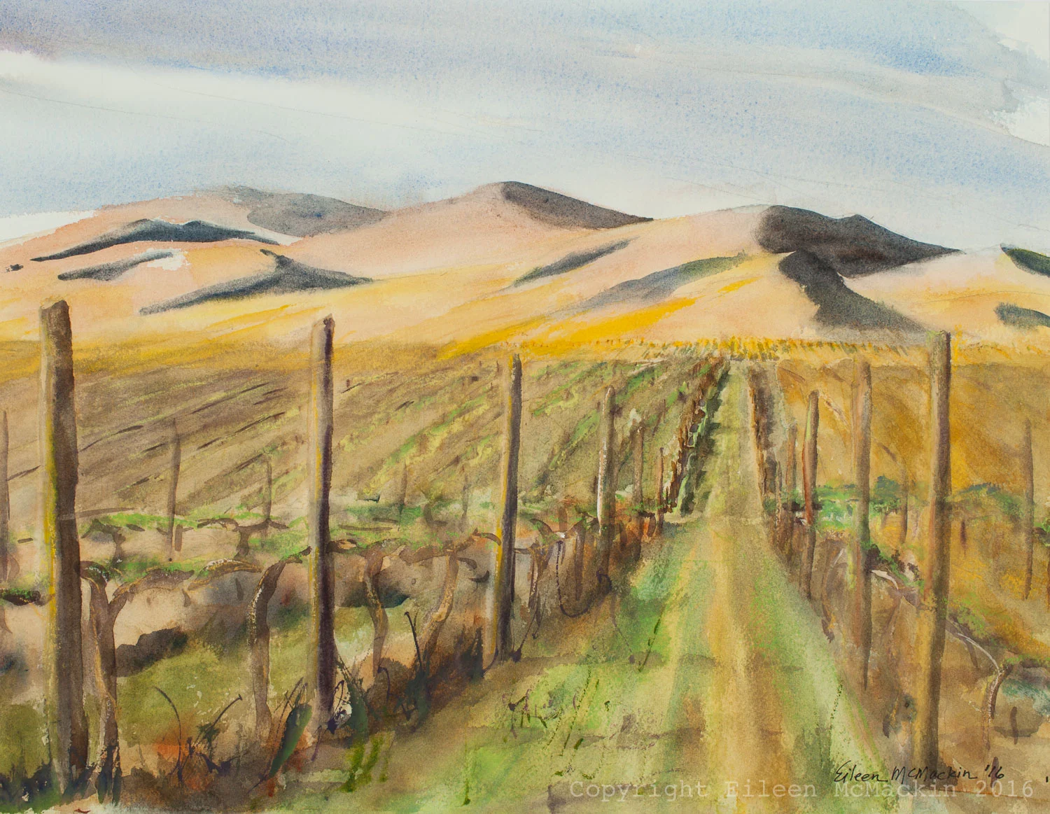 PORTTEUS VINEYARDS