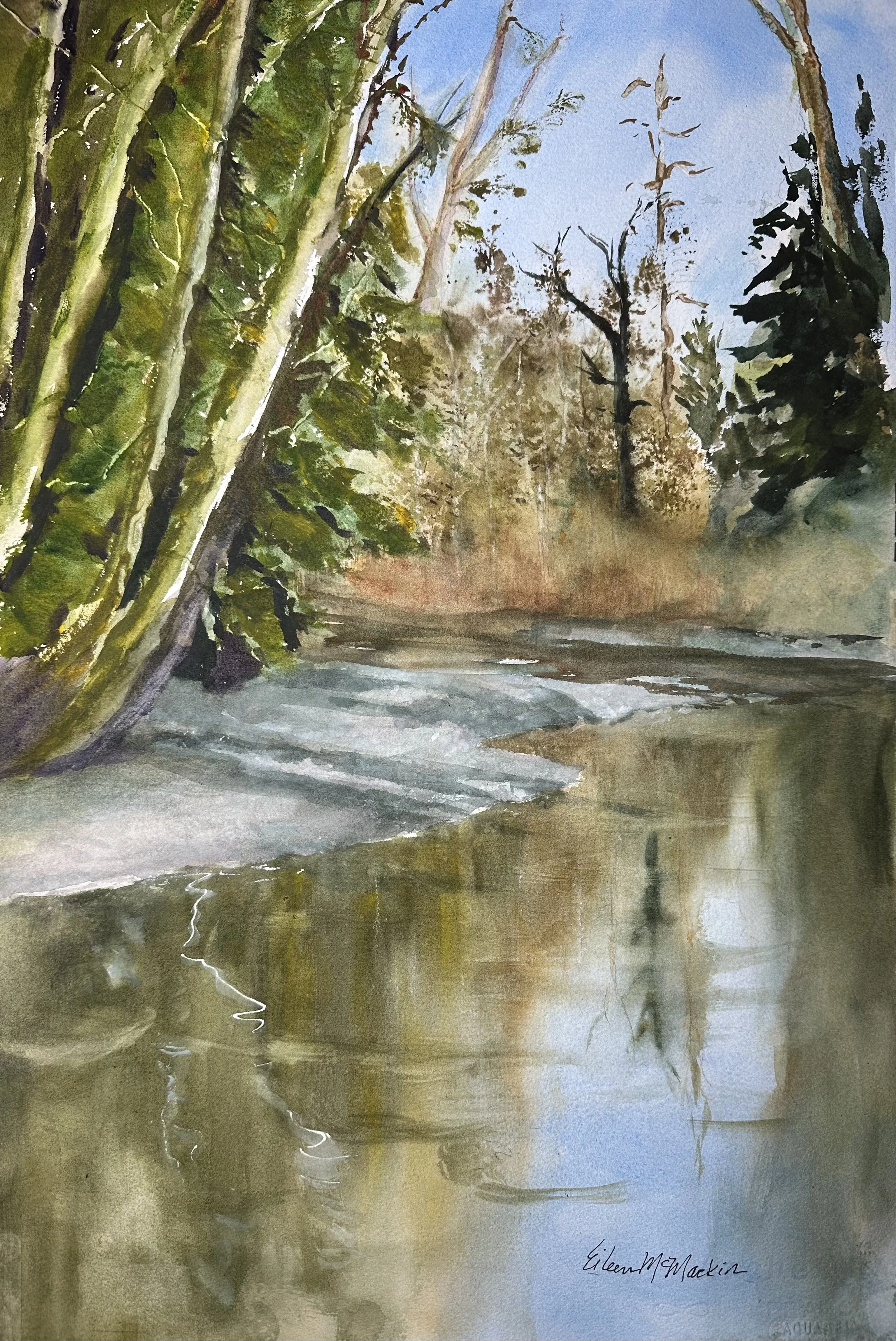 WINTER RAINFOREST WALK