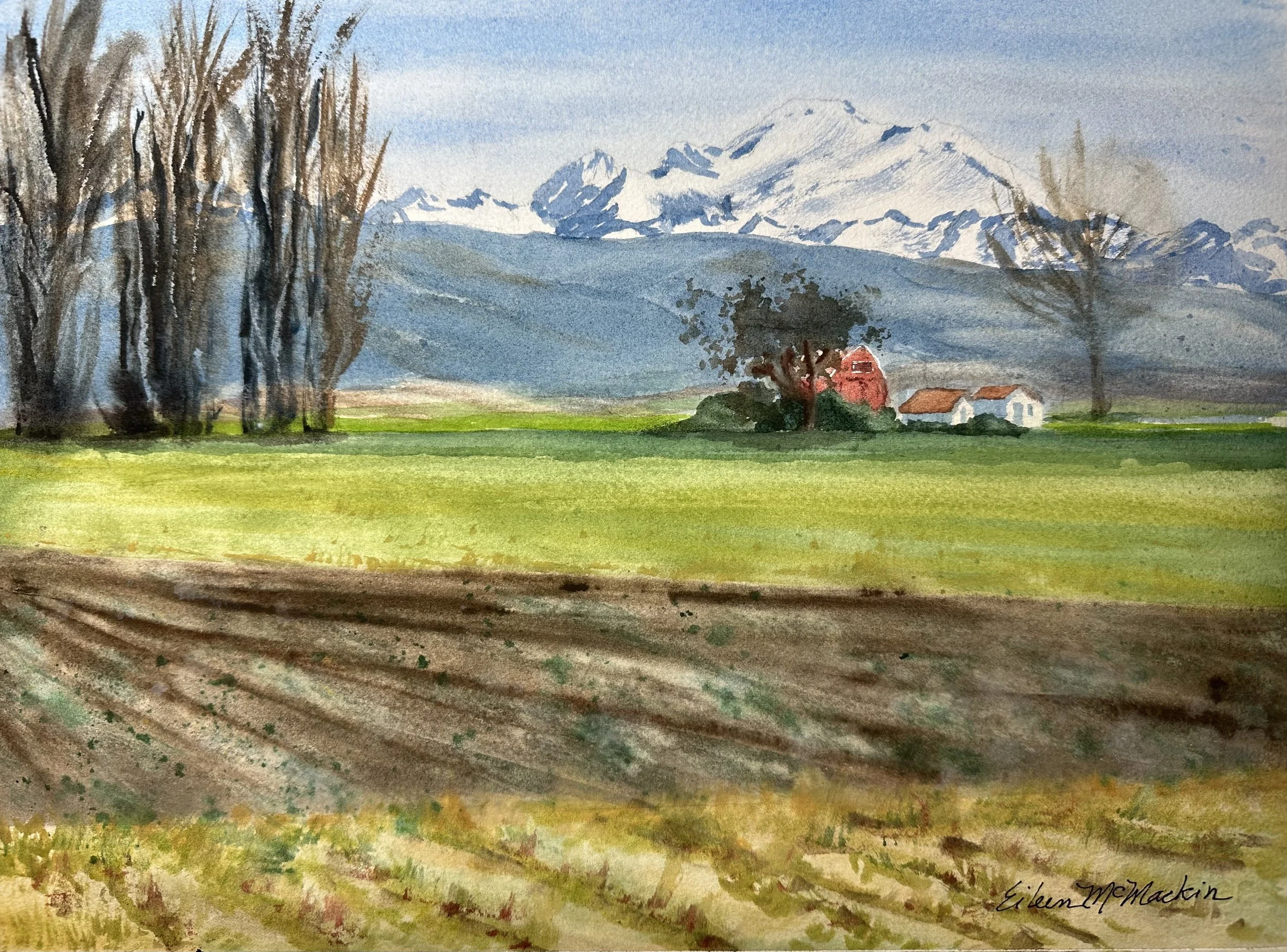 SKAGIT VALLEY LATE WINTER