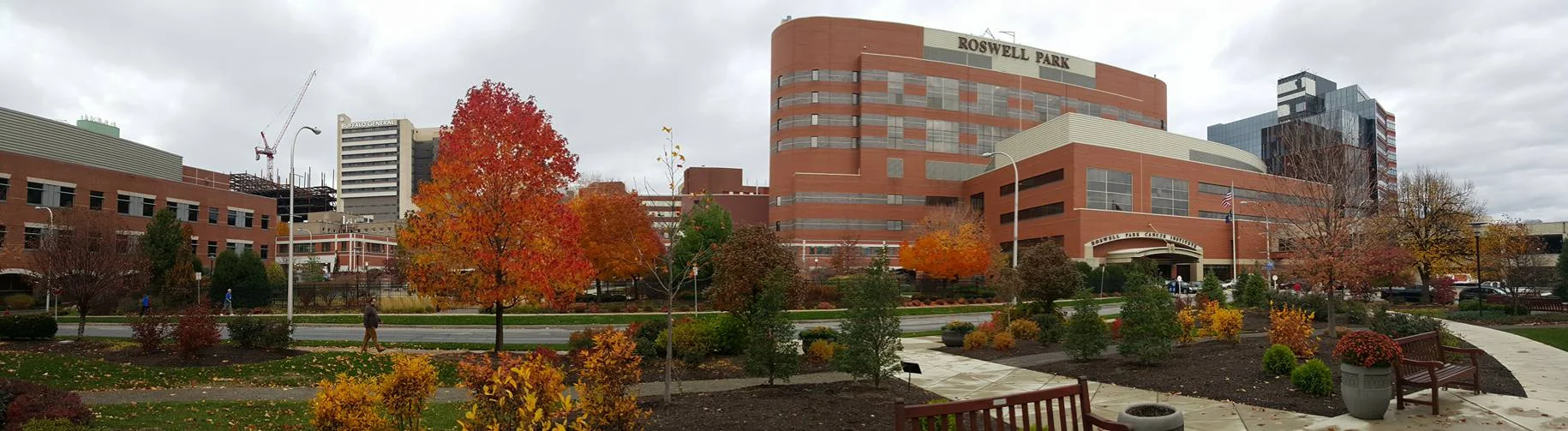 BNMC.jpg